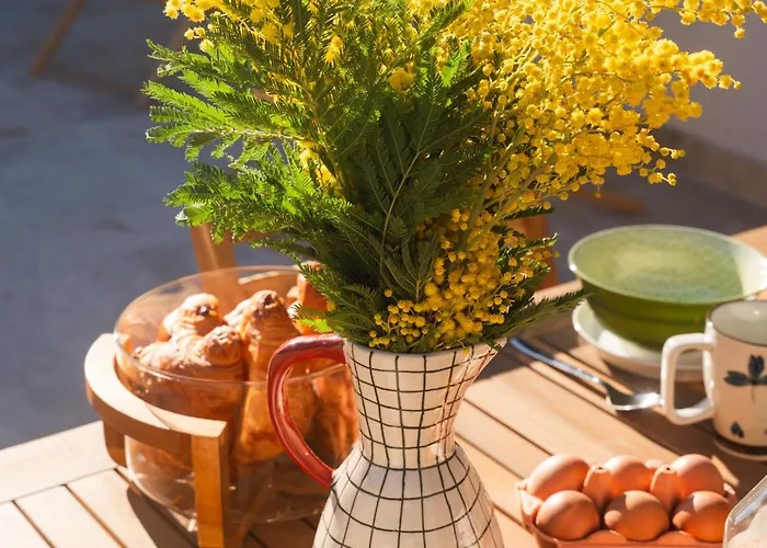 Le Cocon Du Golf * Nîmes